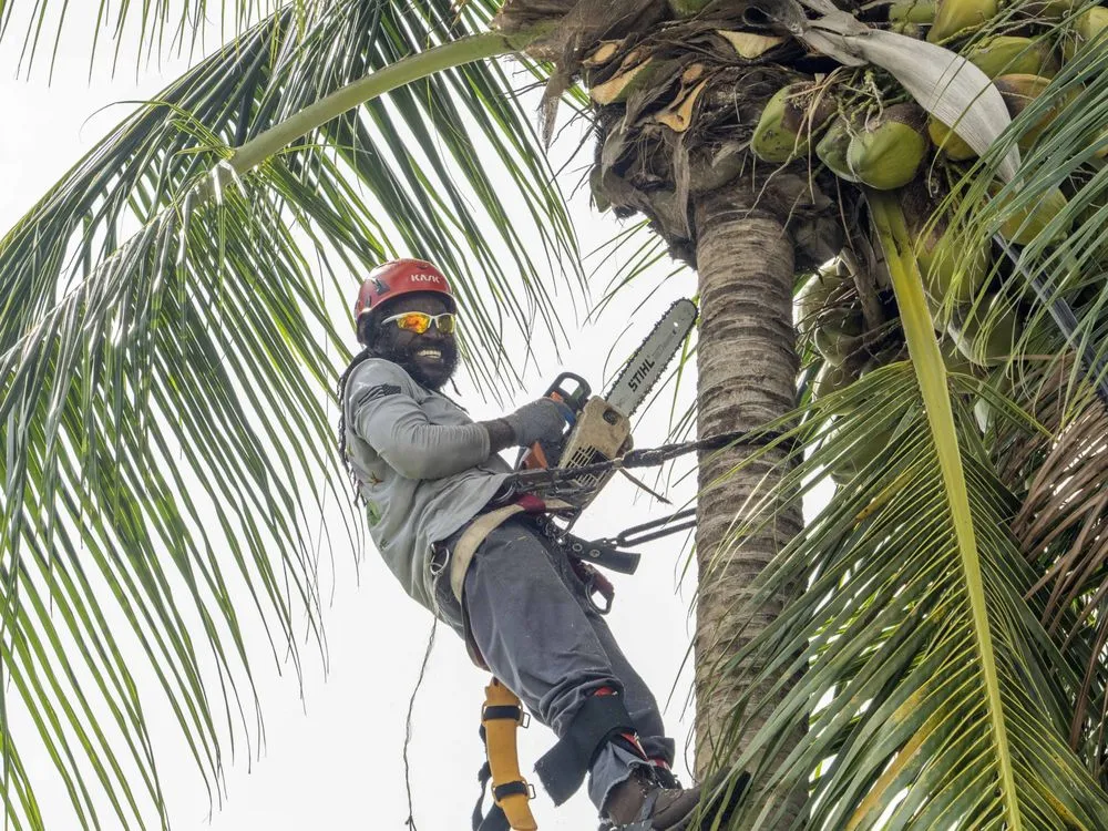 Expert outdoor landscaping in Plantation, FL - J & J The Tree Doctor
