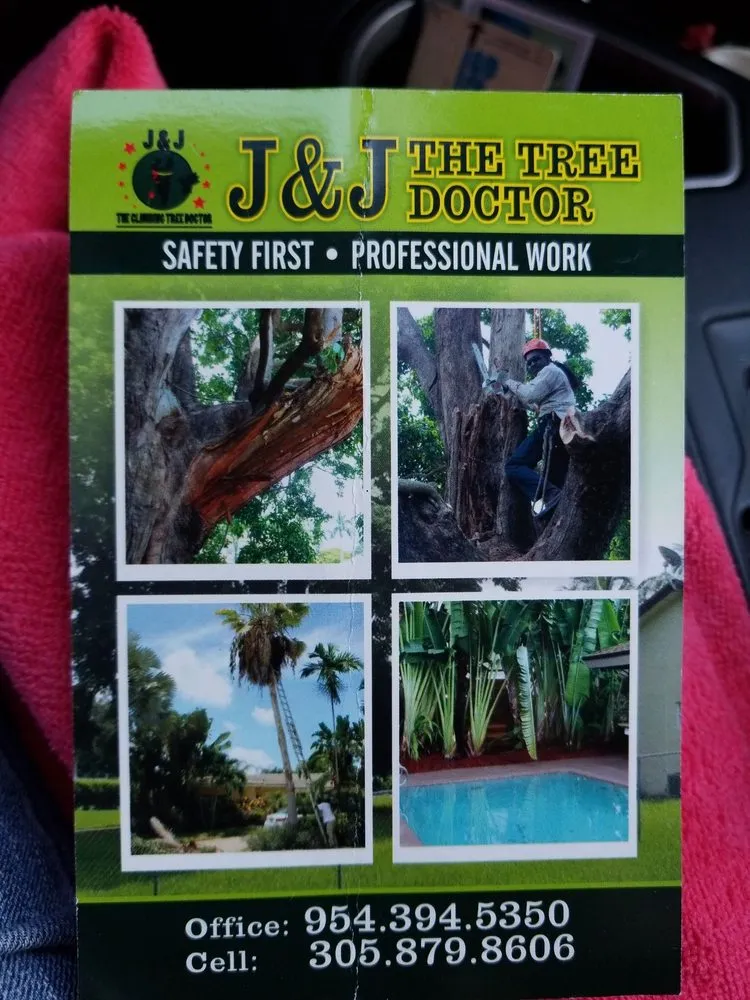 Expert landscaping services in Plantation, FL by J & J The Tree Doctor
