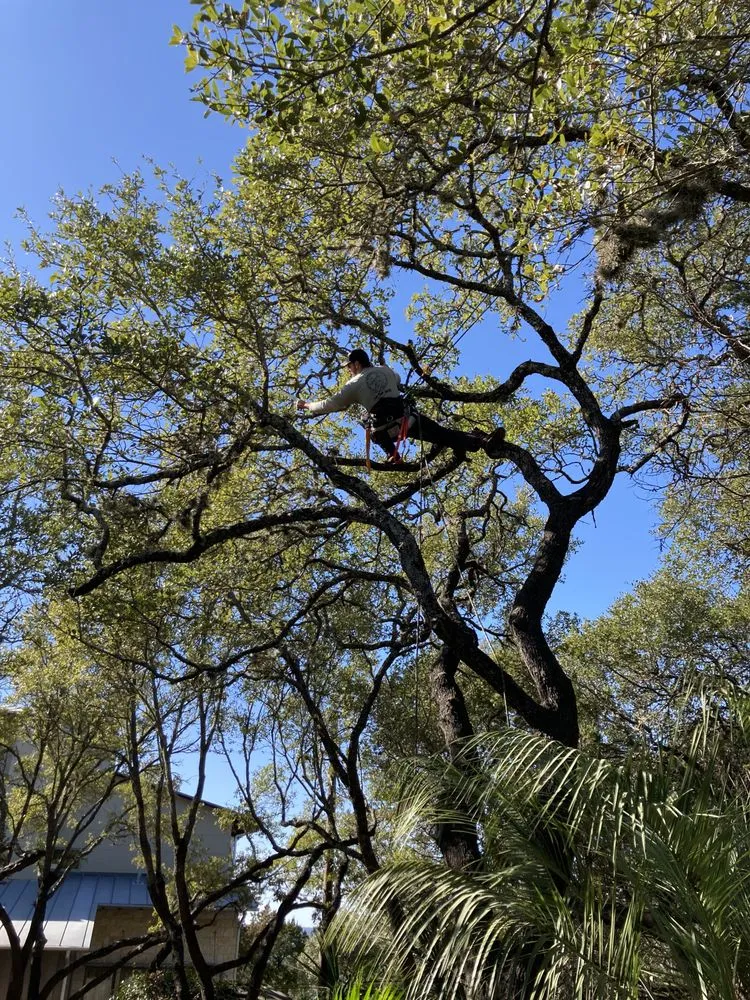 Reliable yard cleanup service in Spring Branch, TX by J & J Tree Care Professionals