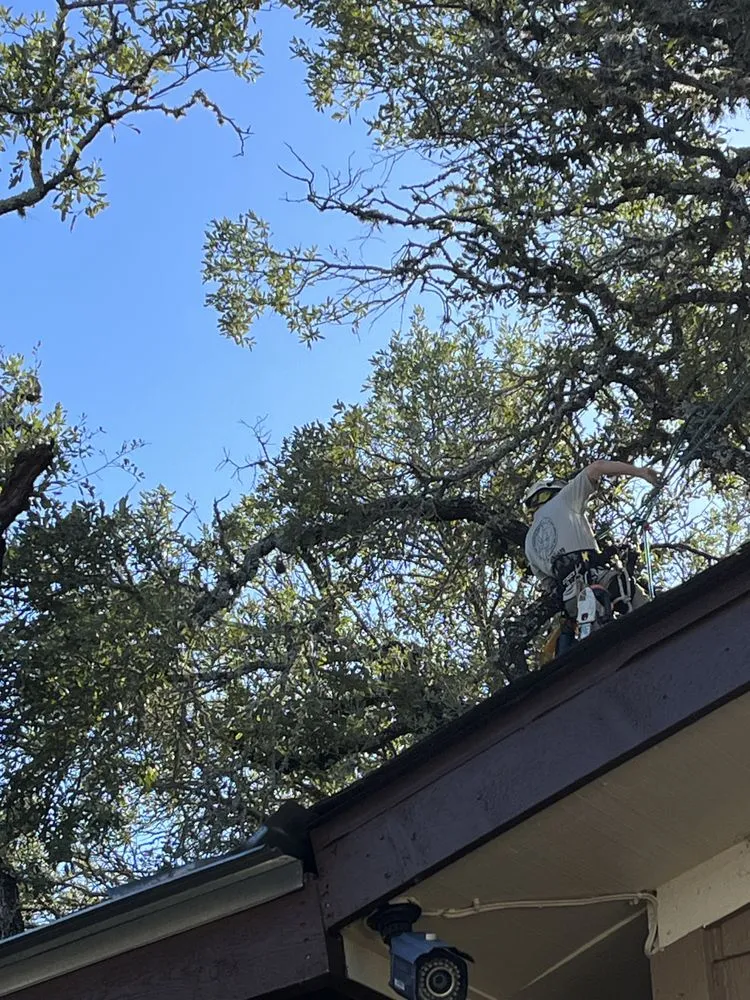 Expert landscaping services experts serving Spring Branch, TX - J & J Tree Care Professionals
