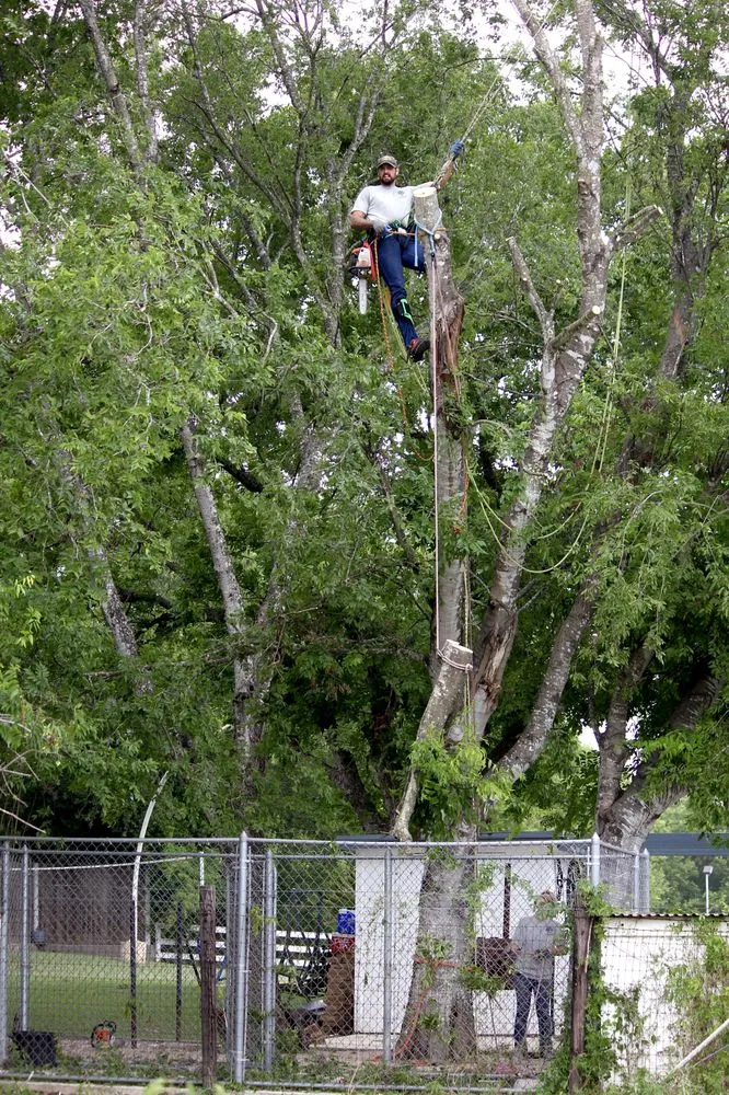 Reliable lawn care service in Spring Branch, TX by J & J Tree Care Professionals