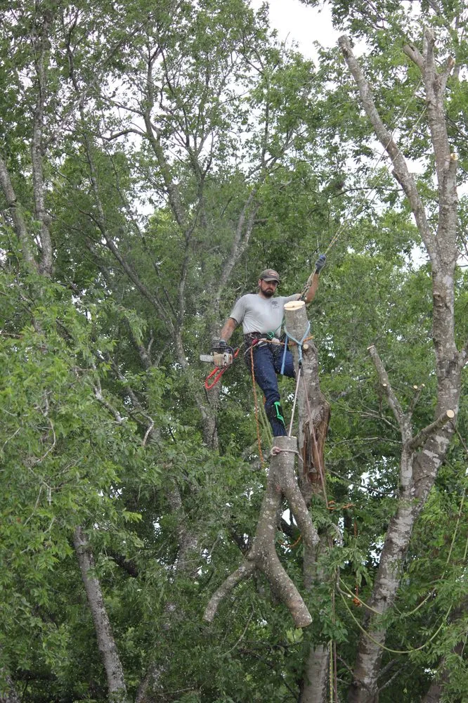 Top-rated outdoor landscaping experts serving Spring Branch, TX - J & J Tree Care Professionals