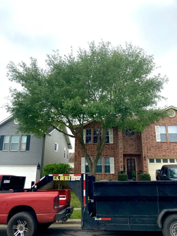 Expert landscape installation in Spring Branch, TX by J & J Tree Care Professionals