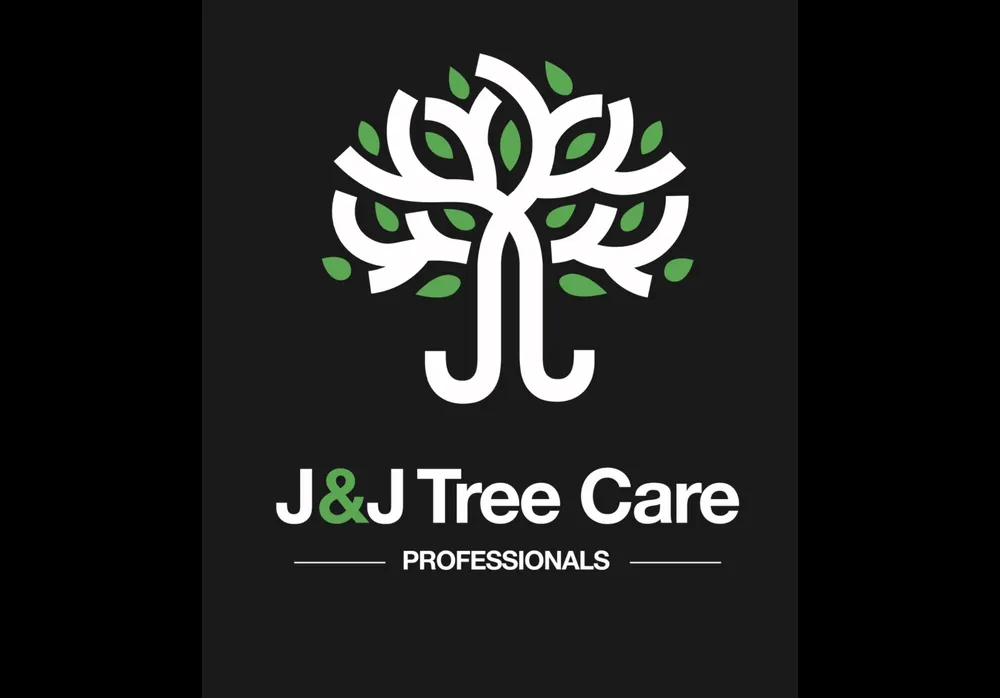 Professional outdoor landscaping for residential properties in Spring Branch, TX by J & J Tree Care Professionals