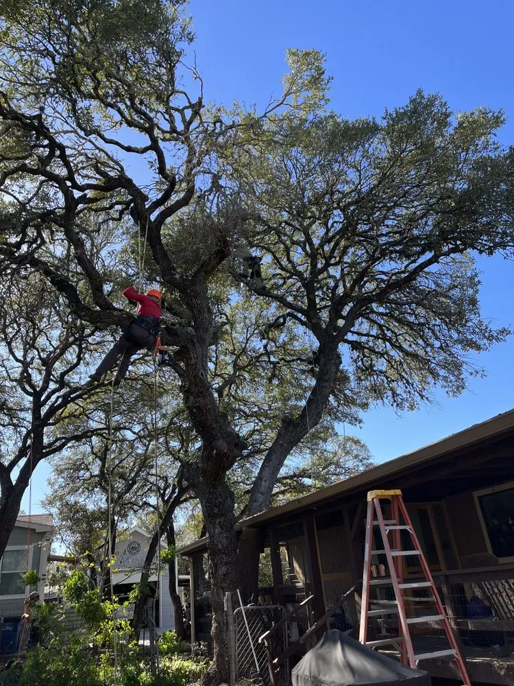 Custom residential landscaping in Spring Branch, TX by J & J Tree Care Professionals