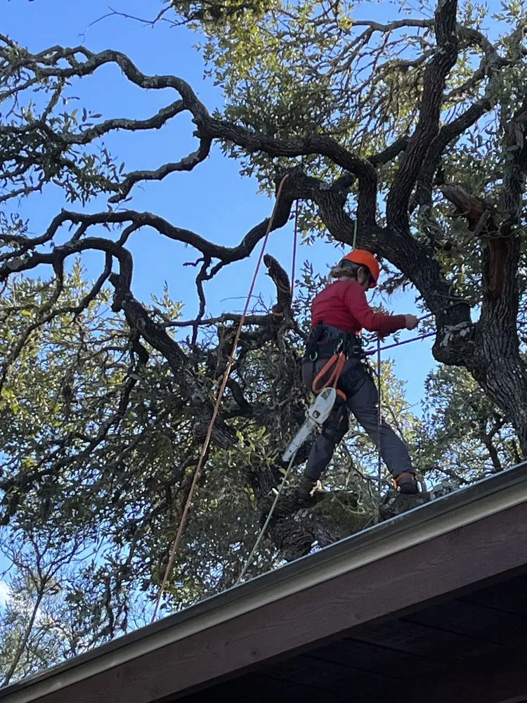 Top-rated landscape design for residential properties in Spring Branch, TX by J & J Tree Care Professionals