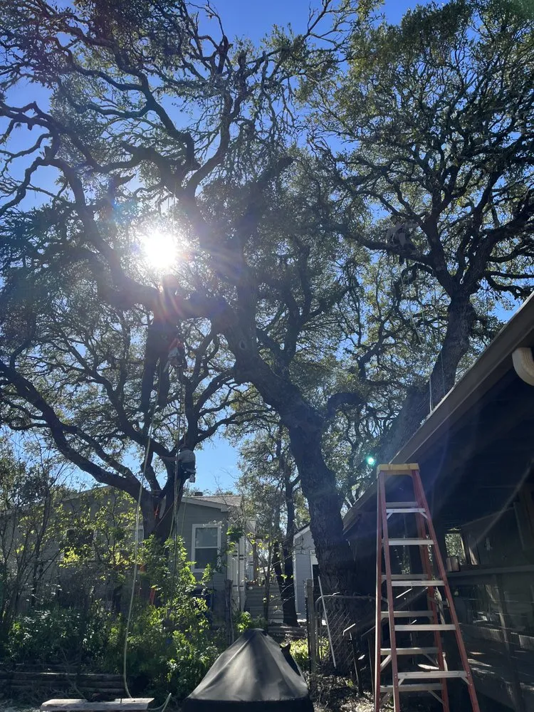 Custom residential landscaping in Spring Branch, TX - J & J Tree Care Professionals
