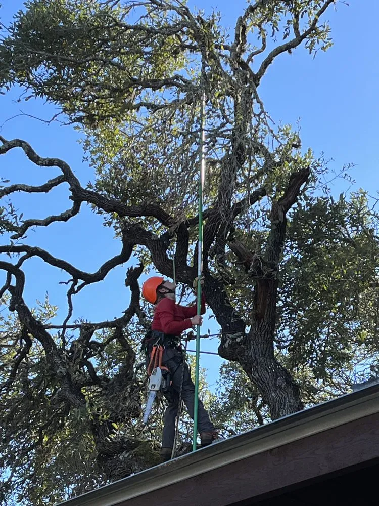 Top-rated landscape design experts serving Spring Branch, TX - J & J Tree Care Professionals