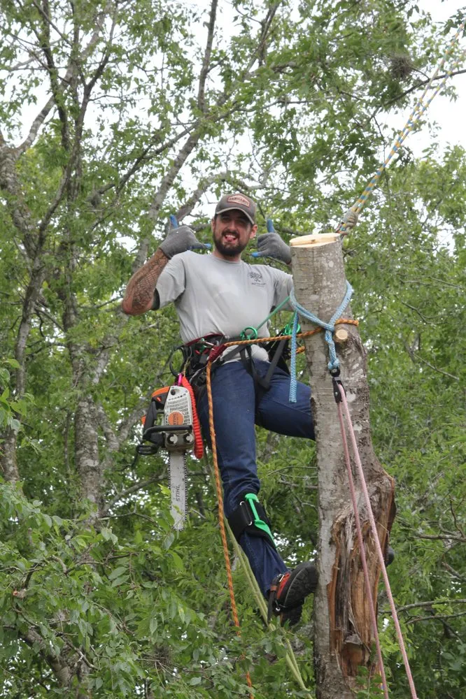 Reliable landscaping services near you in Spring Branch, TX by J & J Tree Care Professionals