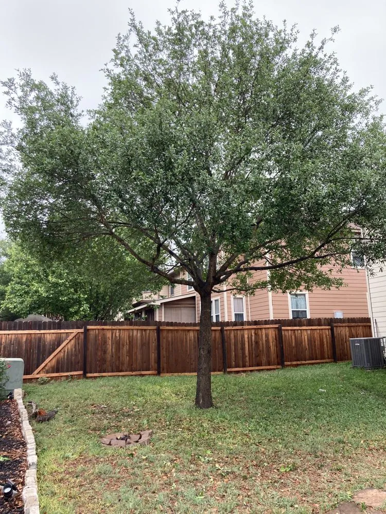Professional lawn mowing service in Spring Branch, TX by J & J Tree Care Professionals
