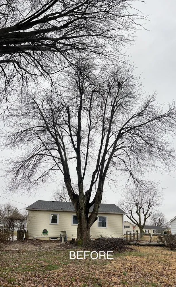 Reliable yard maintenance for outdoor upgrades in Evansville, IN by J & J Tree Service & More