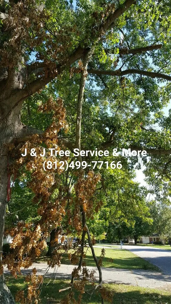Custom lawn mowing service in Evansville, IN - J & J Tree Service & More