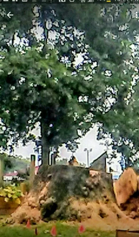 Local outdoor landscaping experts serving Evansville, IN - J & J Tree Service & More