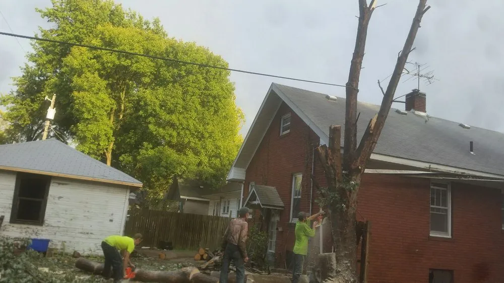 Top-rated lawn care service in Evansville, IN by J & J Tree Service & More