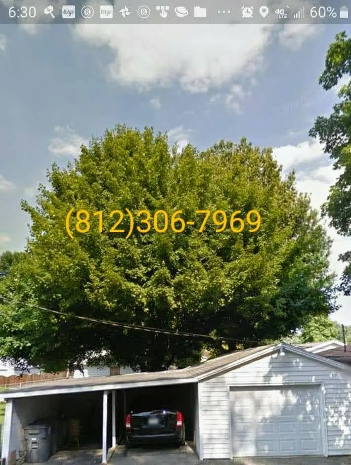 Reliable landscape design for beautiful yards across Evansville, IN - J & J Tree Service & More