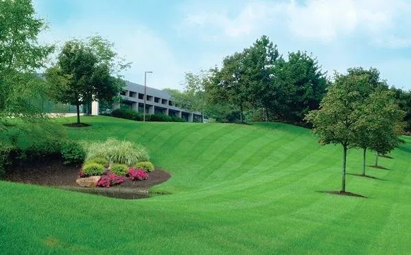 Professional yard maintenance experts serving Anchorage, AK - J & JL Landscaping & Snow Removal