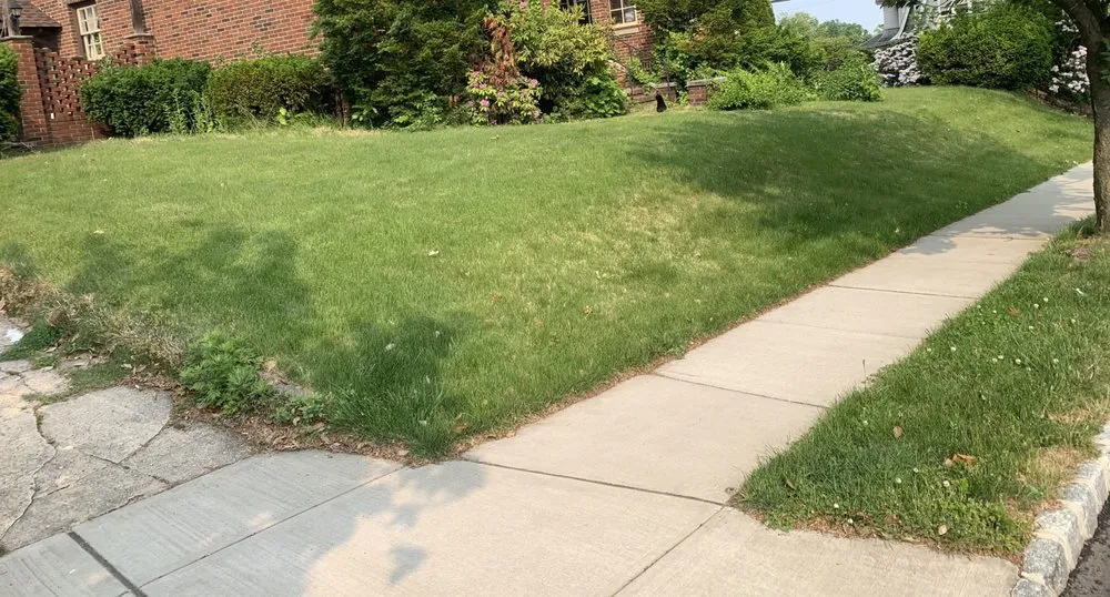 Local outdoor landscaping experts serving Belleville, NJ - J & Js Lawn Care & Maintenance Service