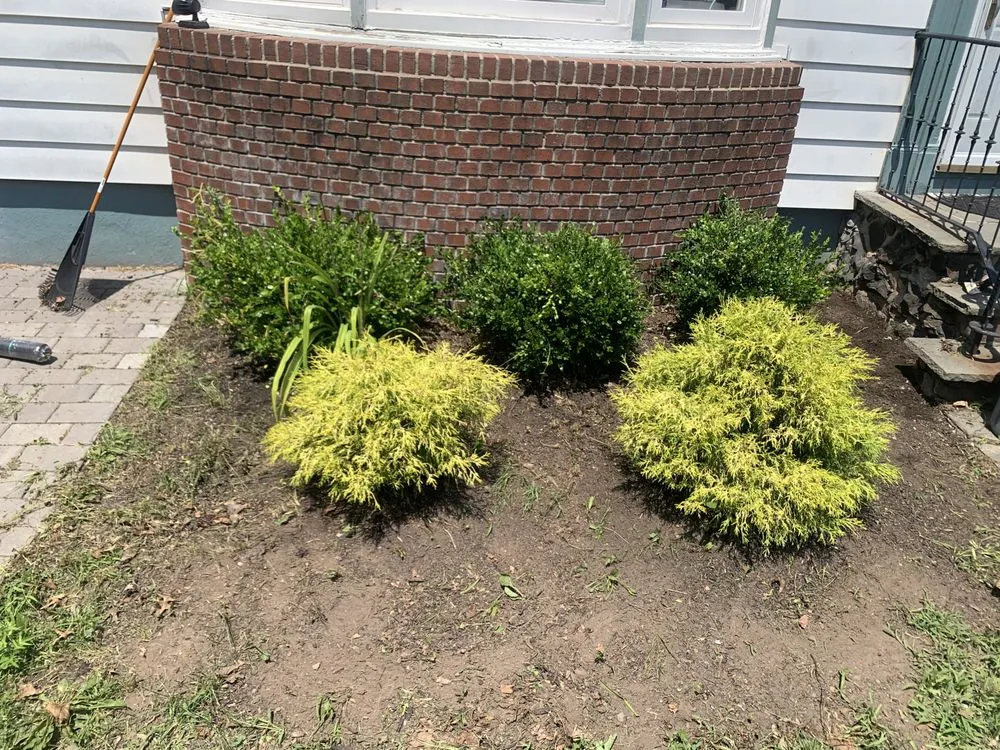 Trusted landscape installation experts serving Belleville, NJ - J & Js Lawn Care & Maintenance Service