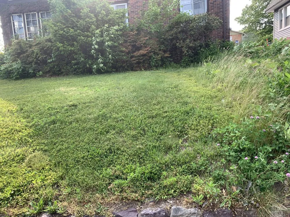 Expert landscaping services for year-round maintenance across Belleville, NJ - J & Js Lawn Care & Maintenance Service