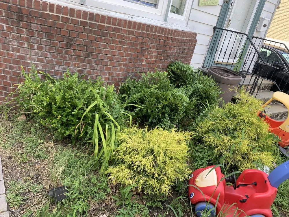 Trusted residential landscaping experts serving Belleville, NJ - J & Js Lawn Care & Maintenance Service