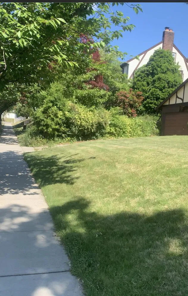 Top-rated lawn care service experts serving Belleville, NJ - J & Js Lawn Care & Maintenance Service