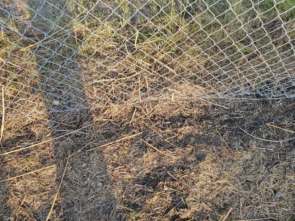 Top-rated lawn mowing service experts serving Belton, TX - J & K irrigation