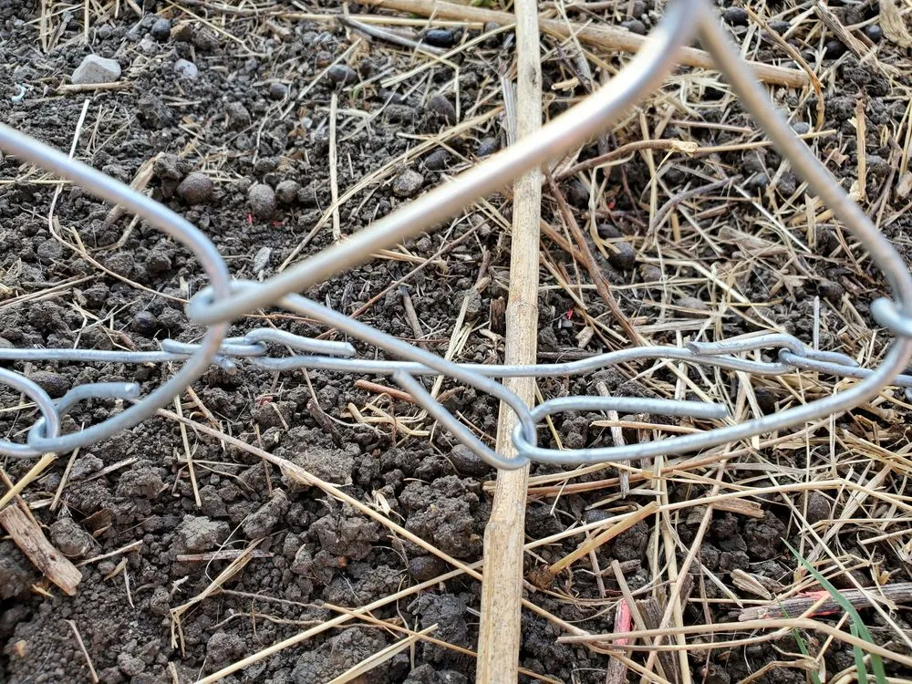 Local yard cleanup service for homes across Belton, TX - J & K irrigation