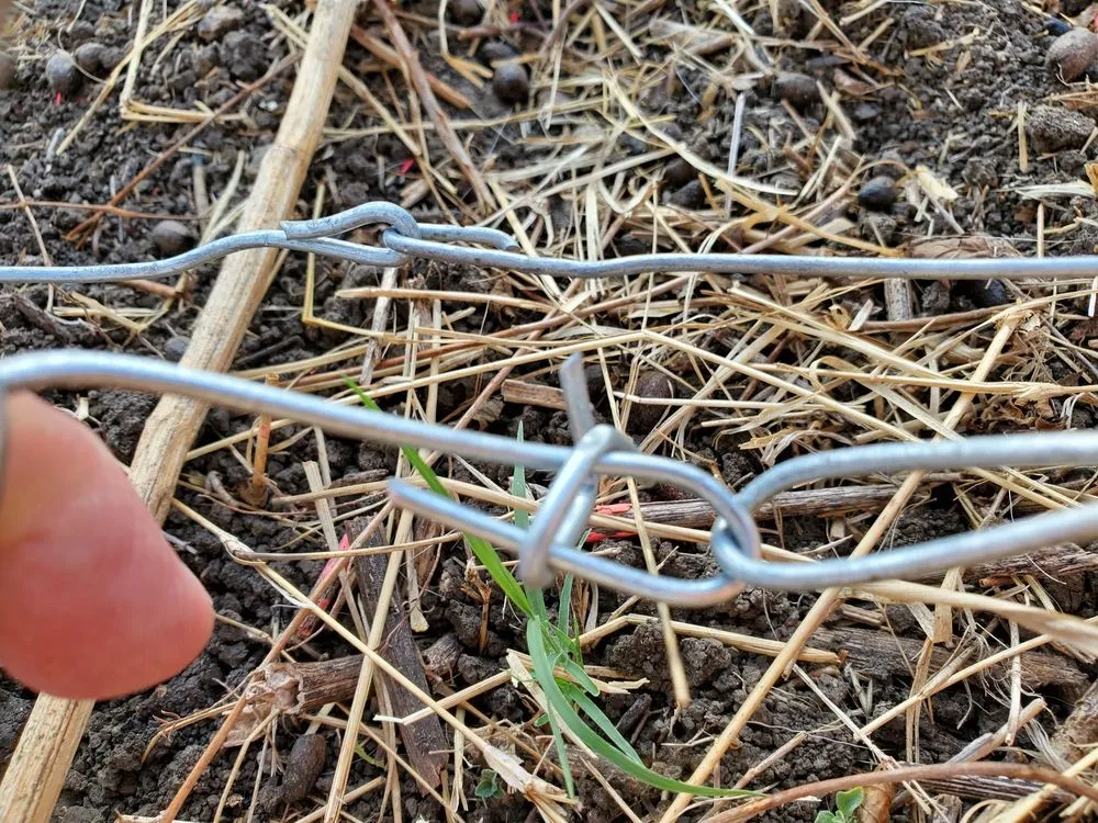 Affordable lawn care service in Belton, TX - J & K irrigation