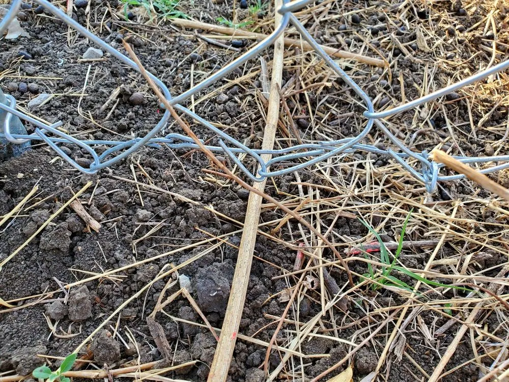 Top-rated garden landscaping for residential properties across Belton, TX - J & K irrigation