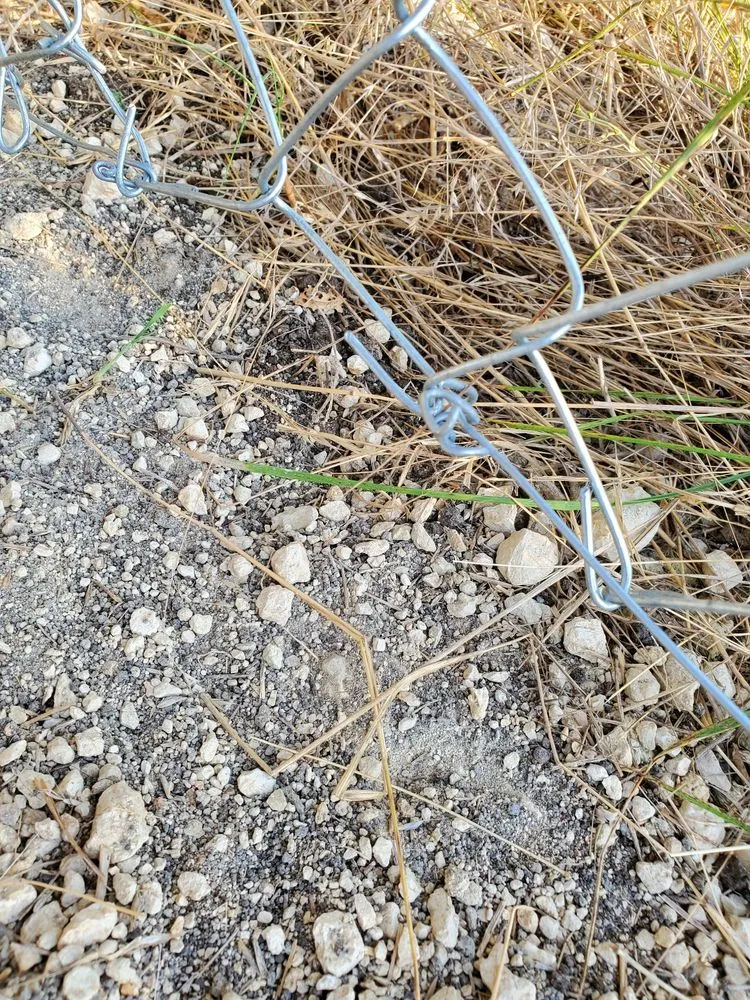 Reliable lawn mowing service in Belton, TX - J & K irrigation