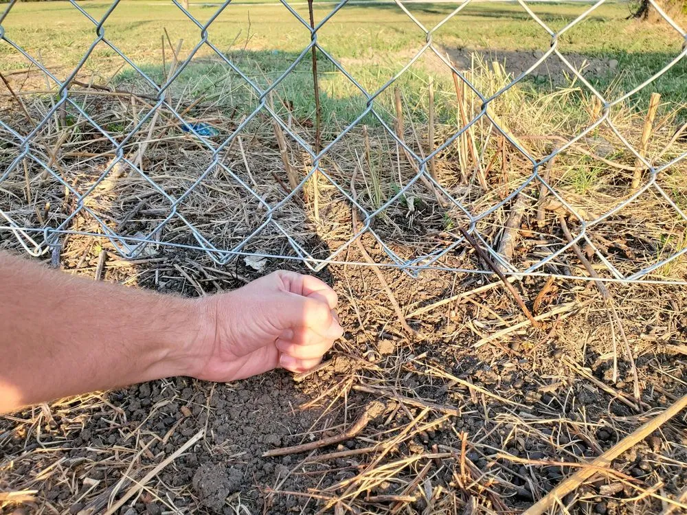 Top-rated landscape design for residential properties in Belton, TX by J & K irrigation