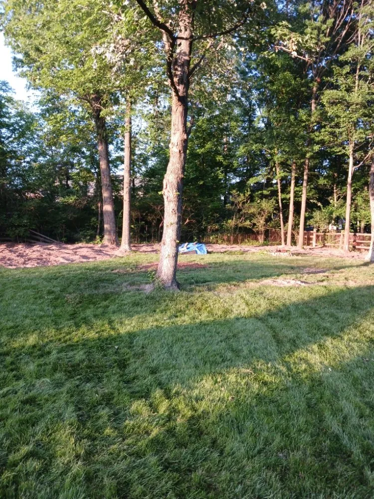 Trusted residential landscaping experts serving Hillsboro, OH - J & K Lawn & Tree Care