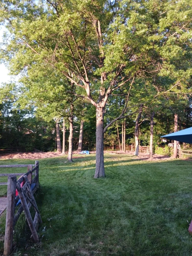 Expert residential landscaping in Hillsboro, OH - J & K Lawn & Tree Care
