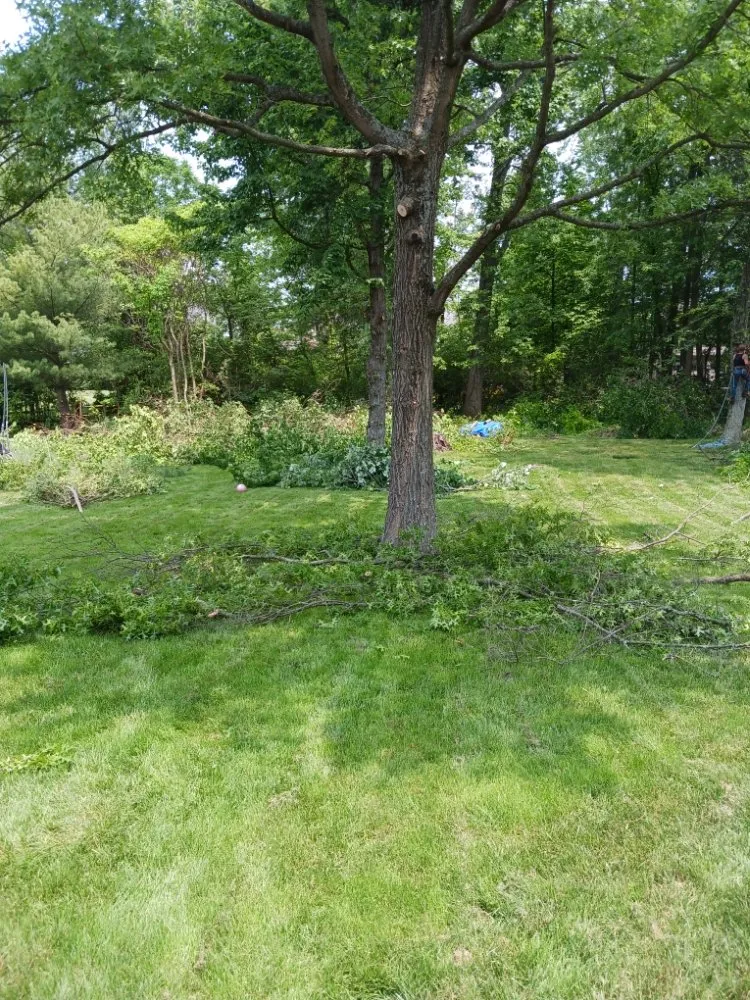 Trusted outdoor landscaping in Hillsboro, OH by J & K Lawn & Tree Care