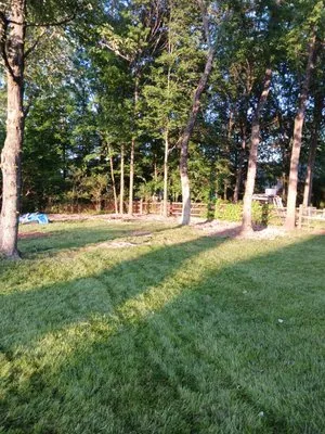 J & K Lawn & Tree Care