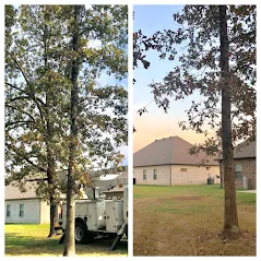 Reliable yard maintenance experts serving Brookland, AR - J & K Lawn & Tree Service