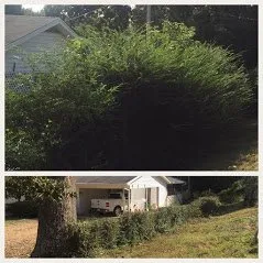 Top-rated yard cleanup service for outdoor upgrades across Brookland, AR - J & K Lawn & Tree Service