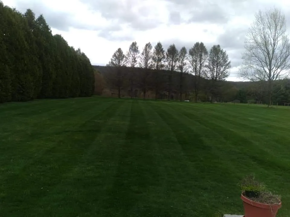 Affordable outdoor landscaping for year-round maintenance across Kulpmont, PA - J & K Lawn Care