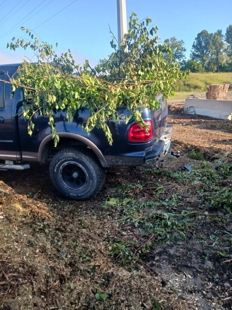 Top-rated residential landscaping experts serving Newark, OH - J & K Lawn Care