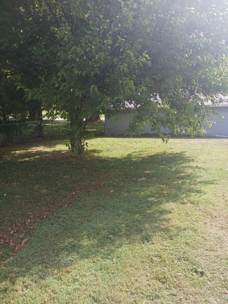 Local lawn care service in Newark, OH by J & K Lawn Care