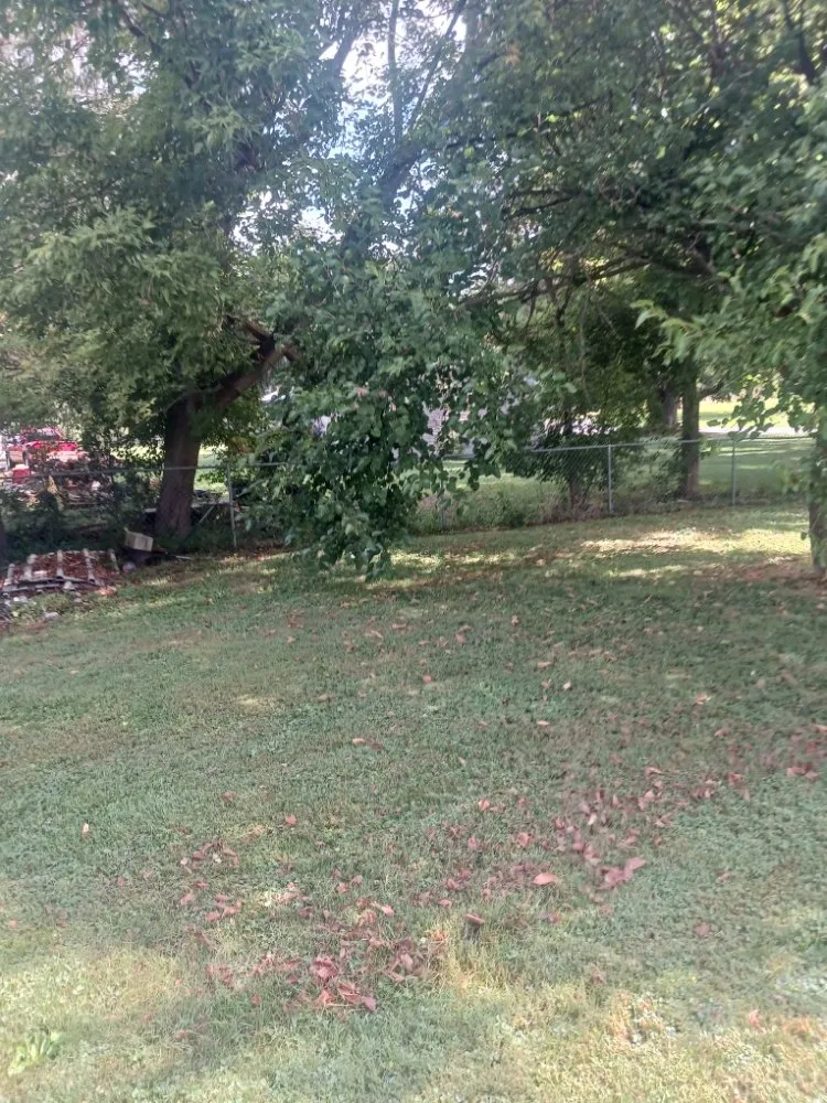 Professional yard cleanup service in Newark, OH - J & K Lawn Care