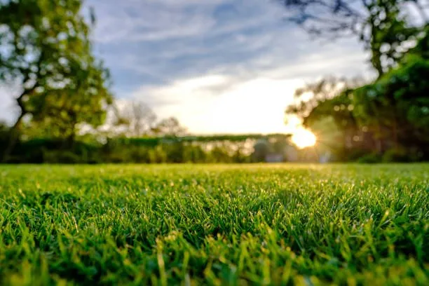 Local landscape design experts serving Lexington-Fayette, KY - J & K Lawn Care Services