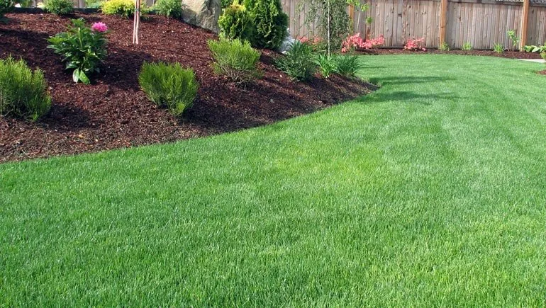 Expert lawn care service for beautiful yards across Lexington-Fayette, KY - J & K Lawn Care Services