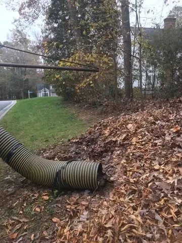 Custom yard cleanup service for year-round maintenance in Chesterfield, VA by J & K Lawn Services