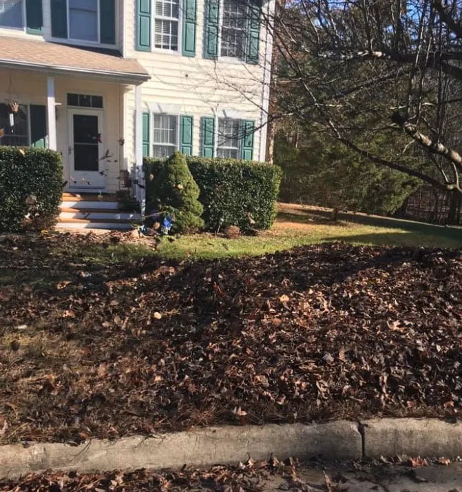 Top-rated yard cleanup service near you in Chesterfield, VA by J & K Lawn Services