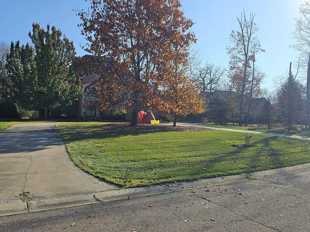 Top-rated outdoor landscaping experts serving Wyandotte, MI - J & K Lawn Services
