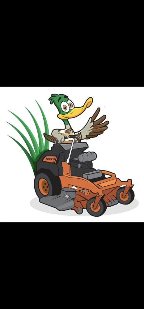 Local yard cleanup service experts serving Plant City, FL - J & K Lawncare