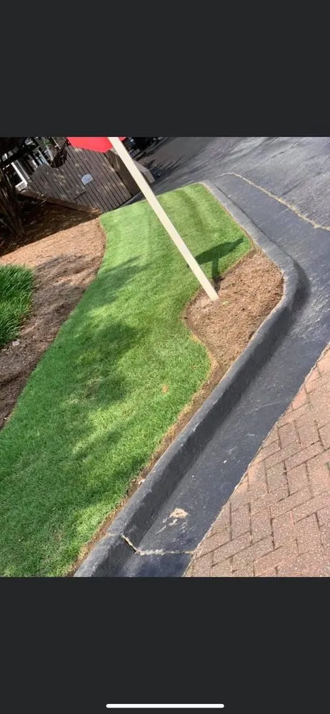 Expert yard cleanup service in Bethlehem, GA - J & K Services