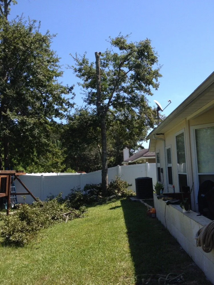 Custom lawn mowing service for year-round maintenance in Jacksonville, FL by J & K Tree & Land