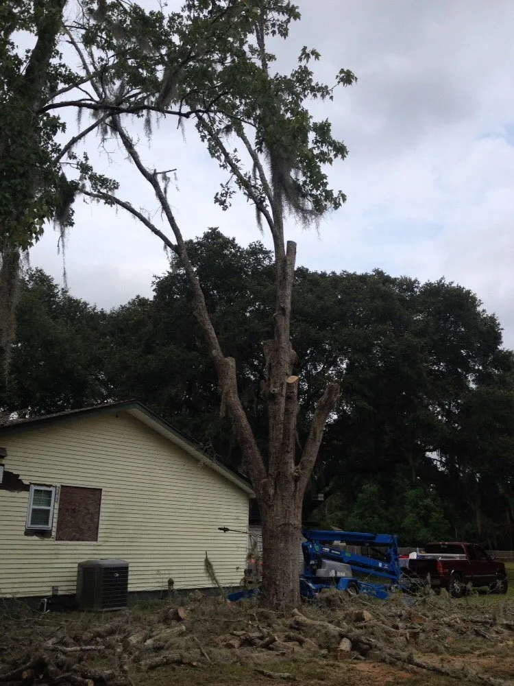 Custom landscaping services in Jacksonville, FL - J & K Tree & Land